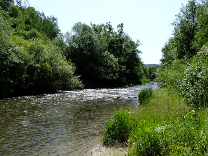 rieka - potok